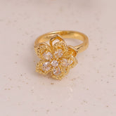 ANILLO RODAN102